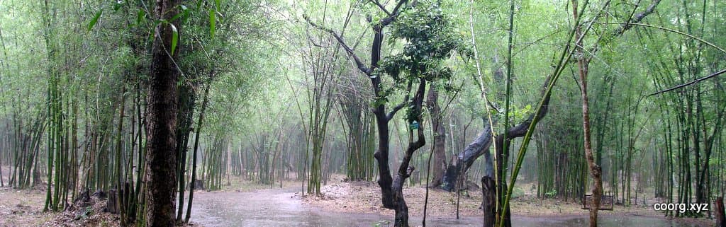 coorg itinerary for 3 days