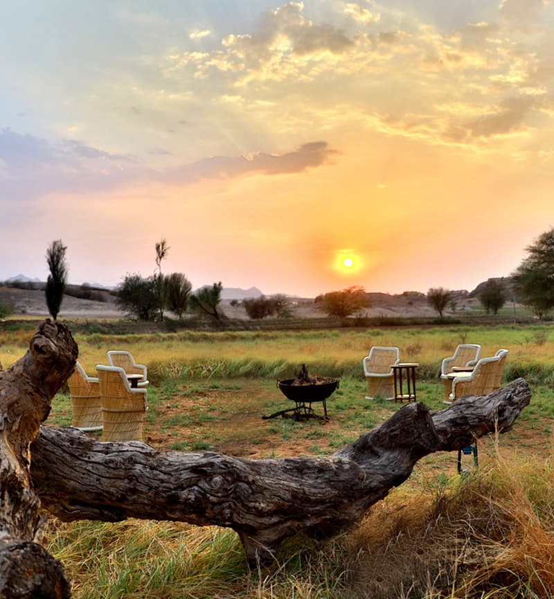 things to do in jawai