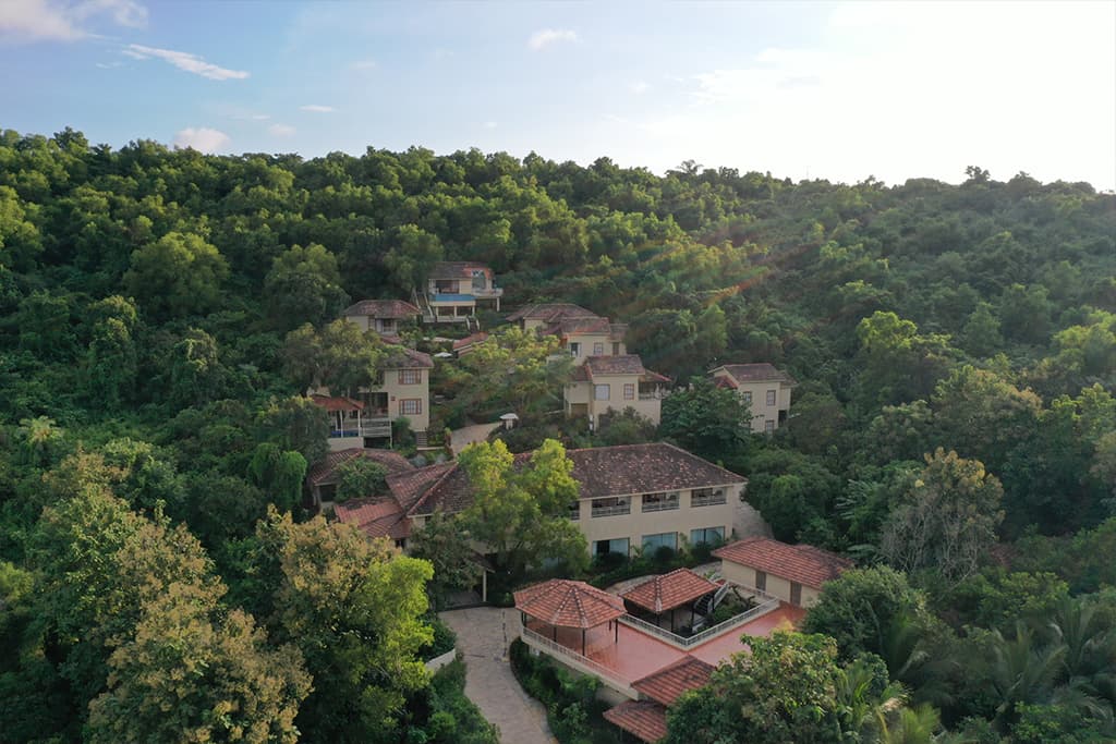 the ultimate wellness escape: luxury resorts near arambol beach