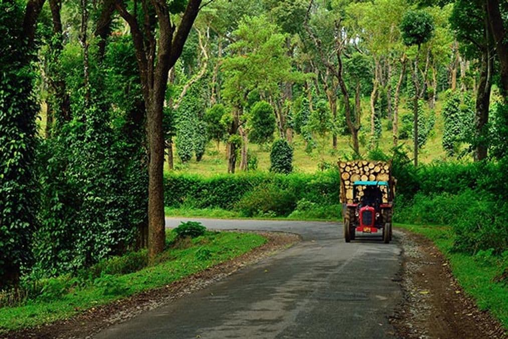 coorg trip from bangalore – ultimate weekend getaway guide